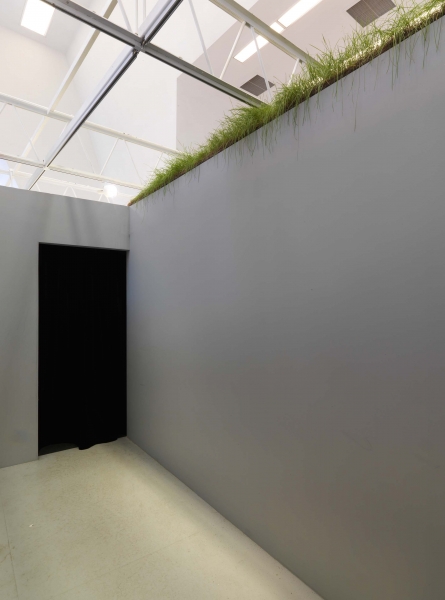 A small garden rests on top of a passageway, just below the grid, between rooms in the gallery; some rooms have no roofs