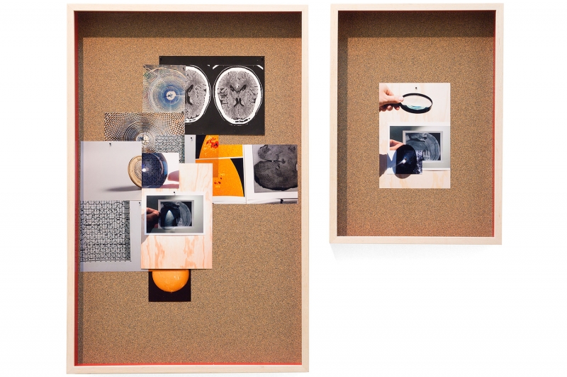 On two corkboards, collages of vivid color photographs--of tree bark, brain scans, oranges, miscellaneous materials