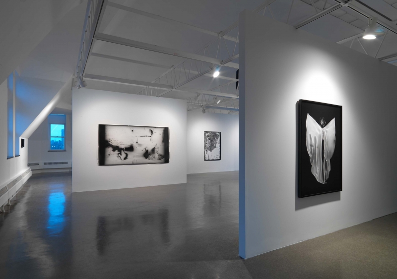 Two black-and-white photographs next to each other, evoking dolphins, waterslides and photo negatives in black