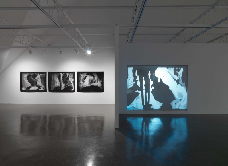 Two black-and-white photographs next to each other, evoking dolphins, waterslides and photo negatives in black