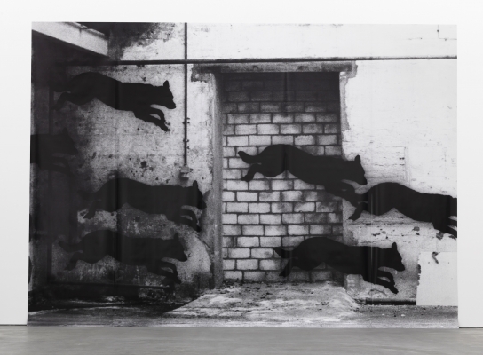 A large black-and-white photograph of spray-painted dogs in silhouette darting across a wall with a brick opening
