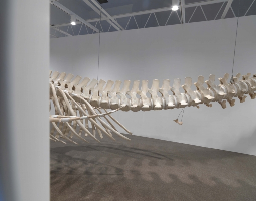 A whale skeleton dangles from metal truss in front of a wall