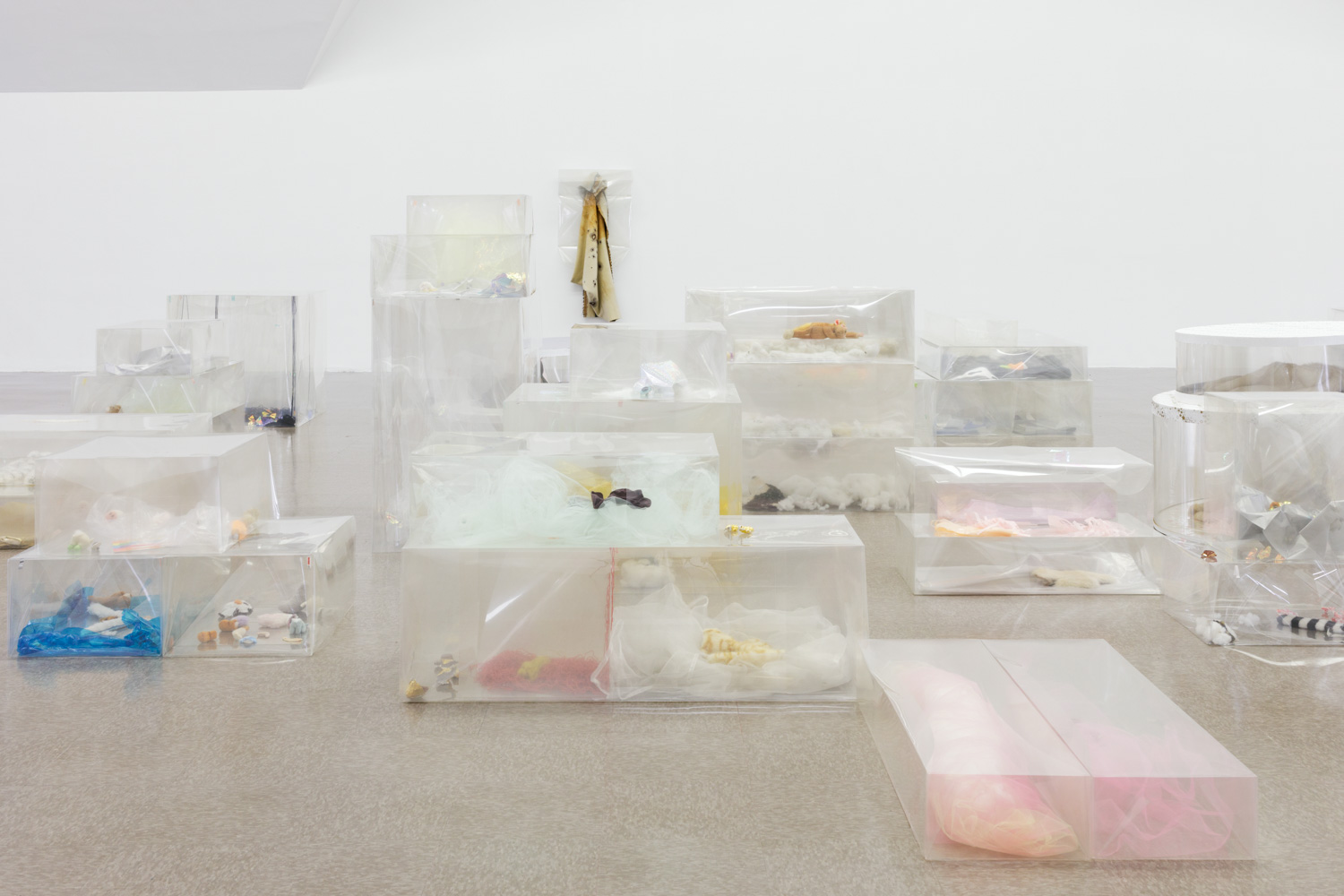 Clear mylar boxes containing stuffed toys, rat skins, and textile, paper and plastic miscellany